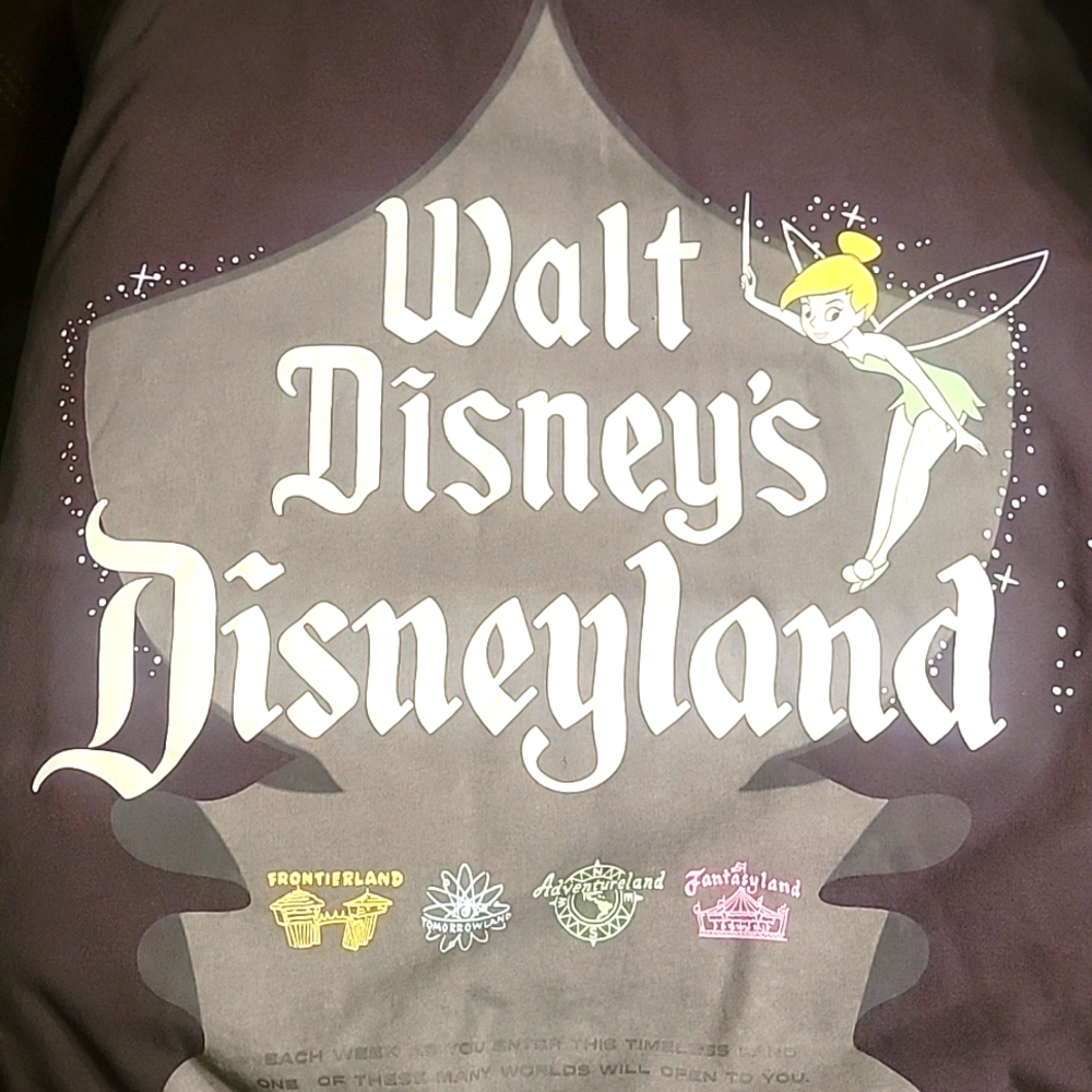 100 Years of Disney Womens Disney‎ Hoodie Size 3XL - Picture 2 of 7